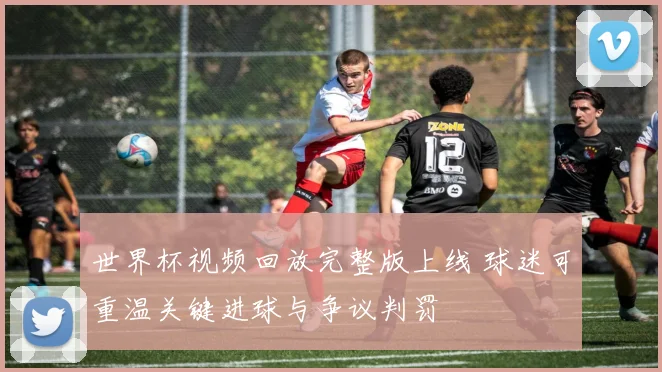 世界杯视频回放完整版上线 球迷可重温关键进球与争议判罚